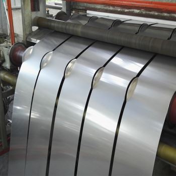 SS Steel Strips